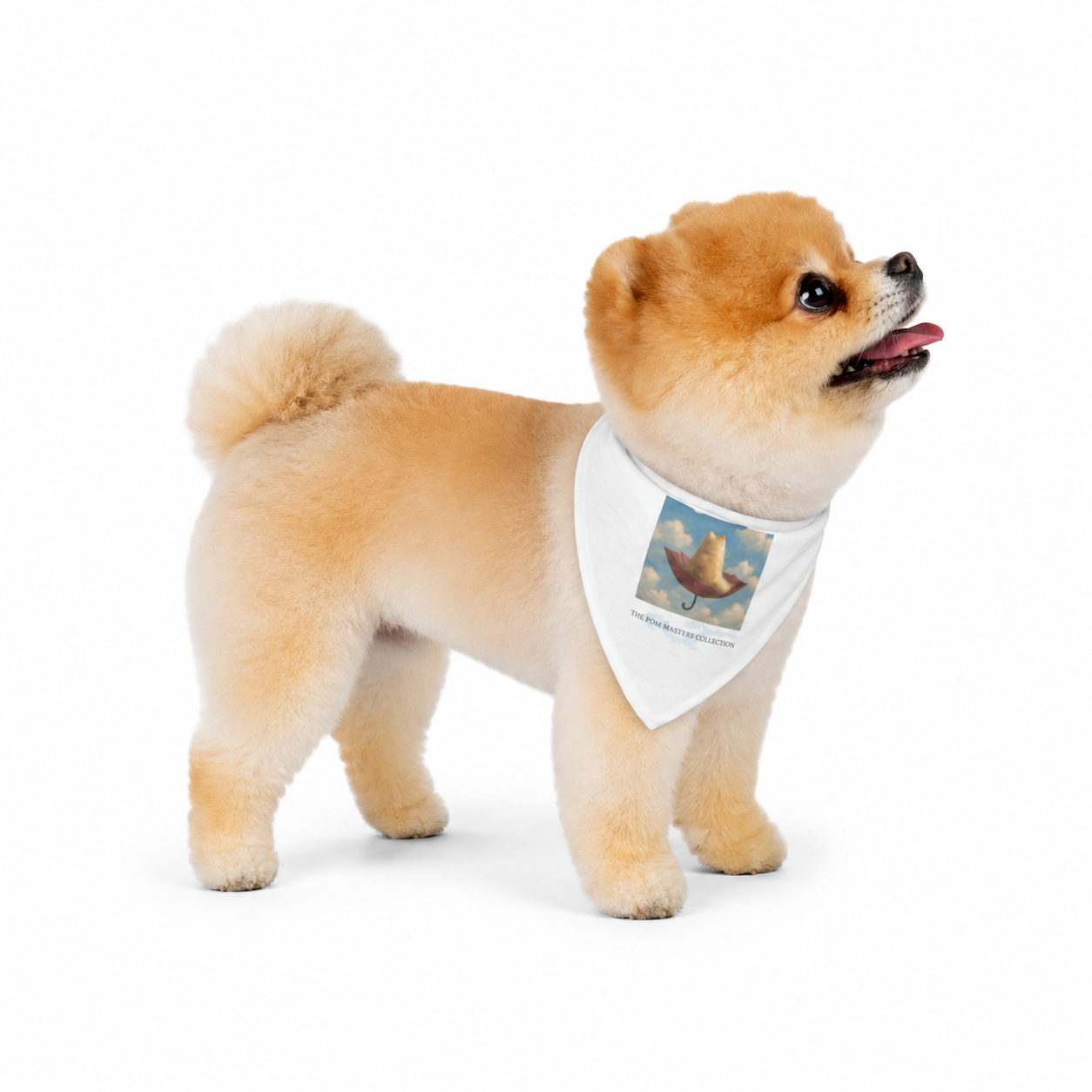 Surpomism dog bandana with Pomeranian on upside-down umbrella