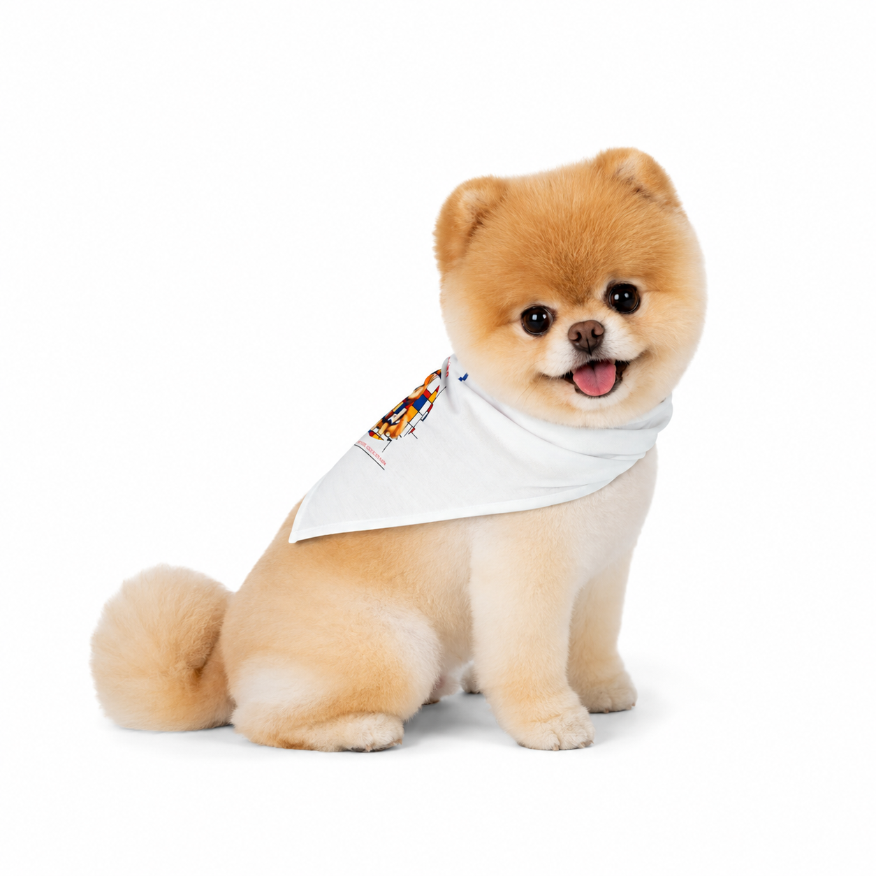 Pomdrian dog bandana with geometric color blocks